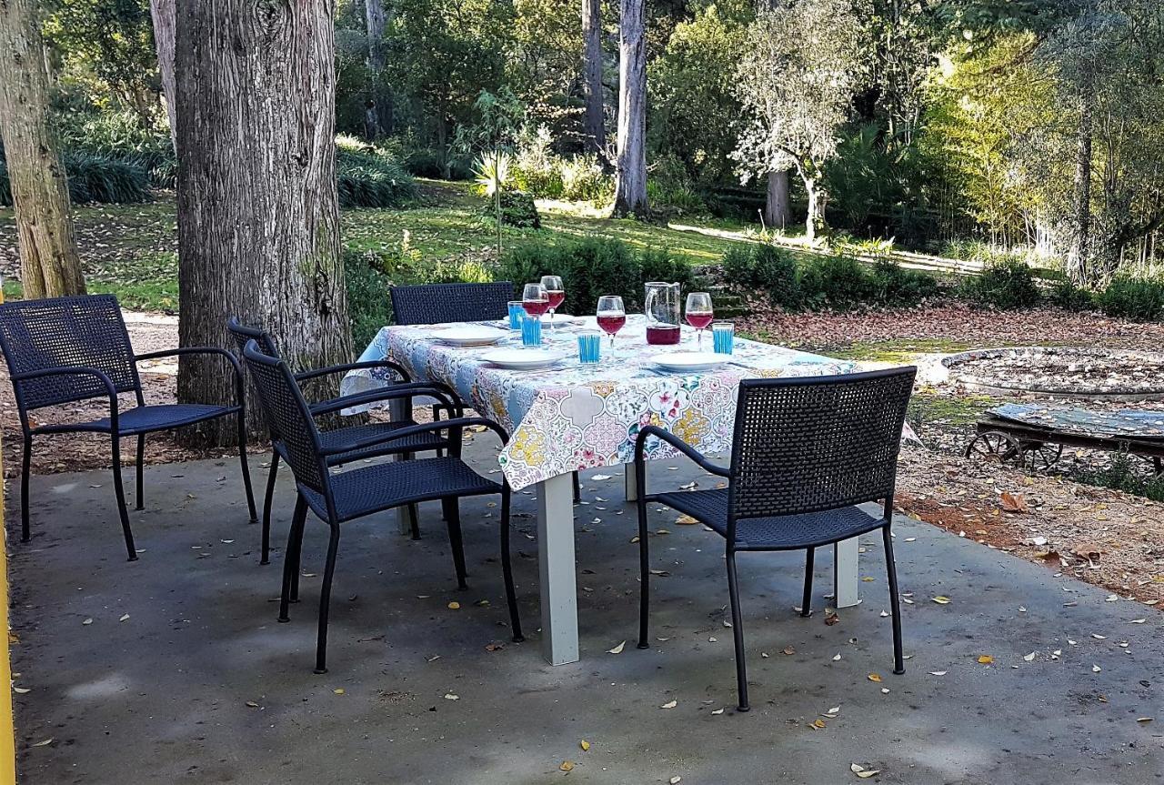 Quinta Da Bizelga Cottages Tomar Zimmer foto